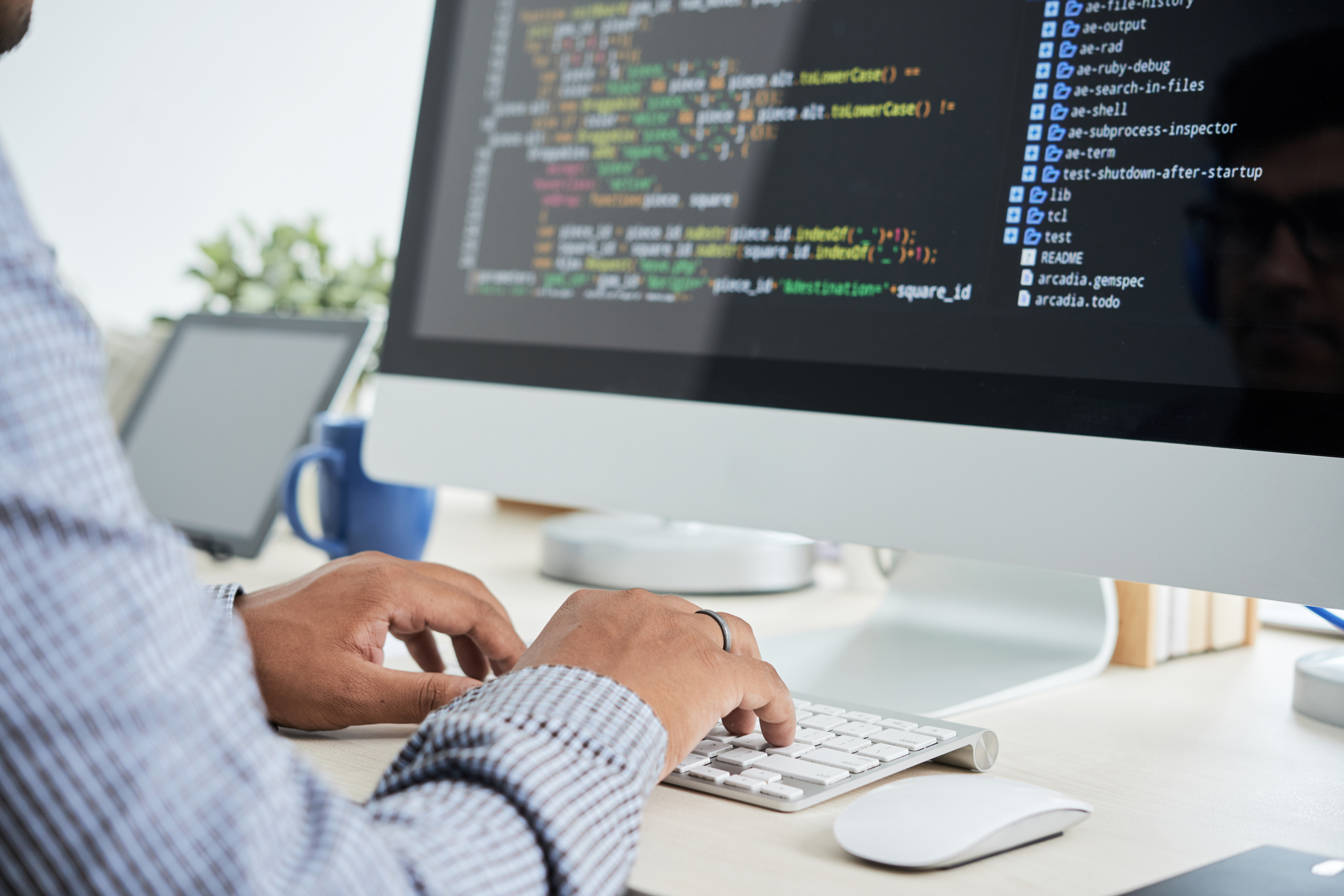 Desarrollo y diseño web en Puerto Vallarta